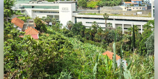 Madeira Campus