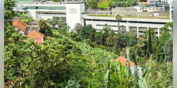 Madeira Campus